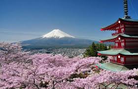 Yaponiya - Business Paket (7 kishilik guruh)